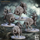 Gorox Riders