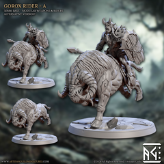 Gorox Riders