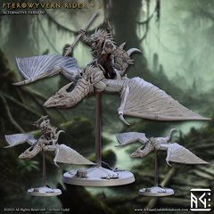 Pterowyvern Rider