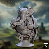 Ivory Priest 3D-printed model