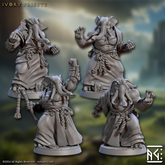 Ivory Priests 3D-printed model