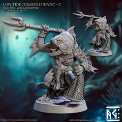 Low Tide Jurakin Lunatics
