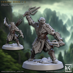 Vanara Monk