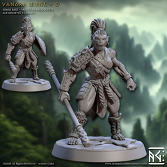 Vanara Monk