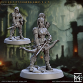 Veiled Sisterhood Rogues 3D-printed model