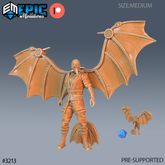 Winged Glider Pilot Levi 3D-printed model