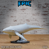 Humpback Whale 3D-printed model