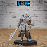 Platinum Paladin 3D-printed model