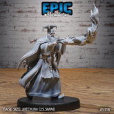 Schoolar Wizard 3D-printed model
