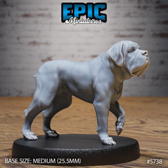 Mastiff War