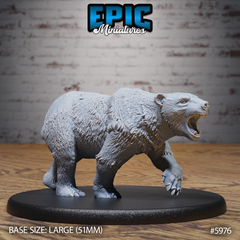 Polar Bear