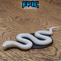 Boa Constrictor