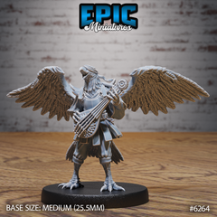 Hawk Folk