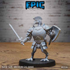 Swan Paladin