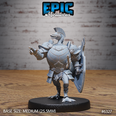 Swan Paladin