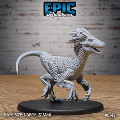 Raptor