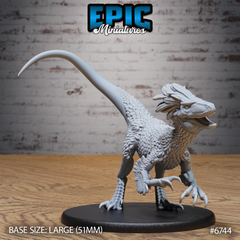 Raptor