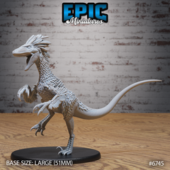 Raptor