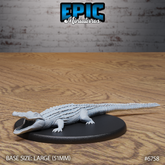 Alligator