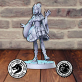 Adventurer 3D-printed model