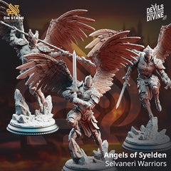 Angels of Syelden - Selvaneri Warriors 3D-printed model