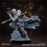 Arleon Trickster Mage 3D-printed model