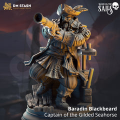 Baradin Blackbeard - Captain of the Gilded Seahorse