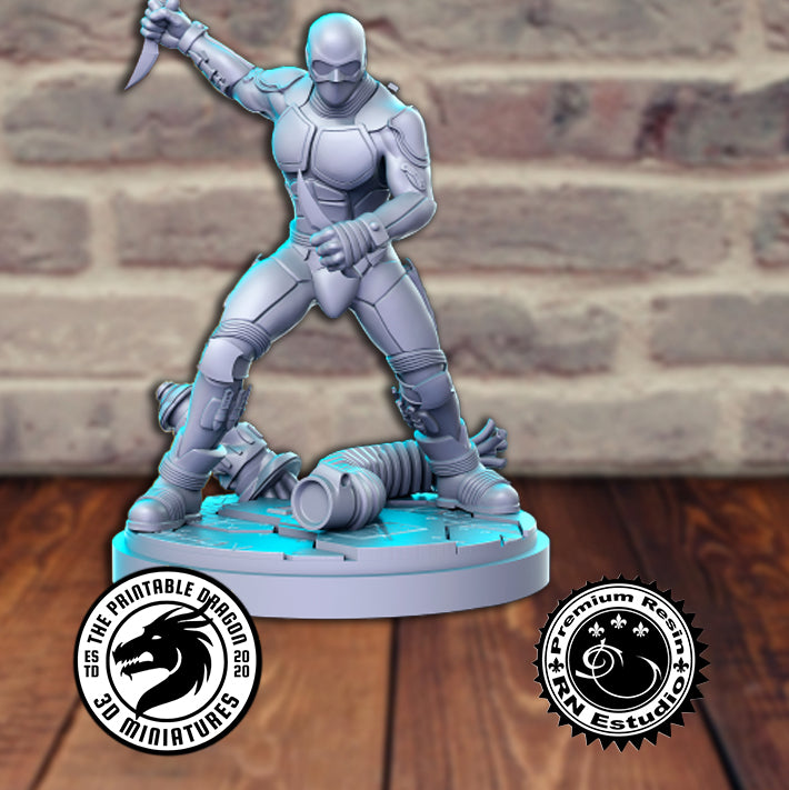 Black Noir 3D-printed model