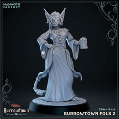 Burrowtown Folks