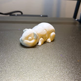 Guinea Pig 3D-printed model