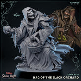 Hag of the Black Orchard 3D-printed model