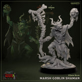 Marsh Goblin Shaman 3D-printed model