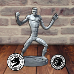 Mr Fantastic