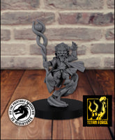 Gnome Male Wizard 3D-printed model