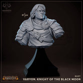 Varyon, Knight of the Black Moon Bust 3D-printed model