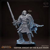 Varyon, Knight of the Black Moon 3D-printed model