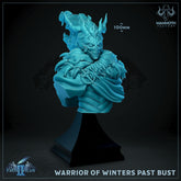 Warrior of Winters Past Bust 3D-printed model