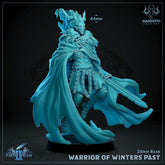 Warrior of Winters Past 3D-printed model