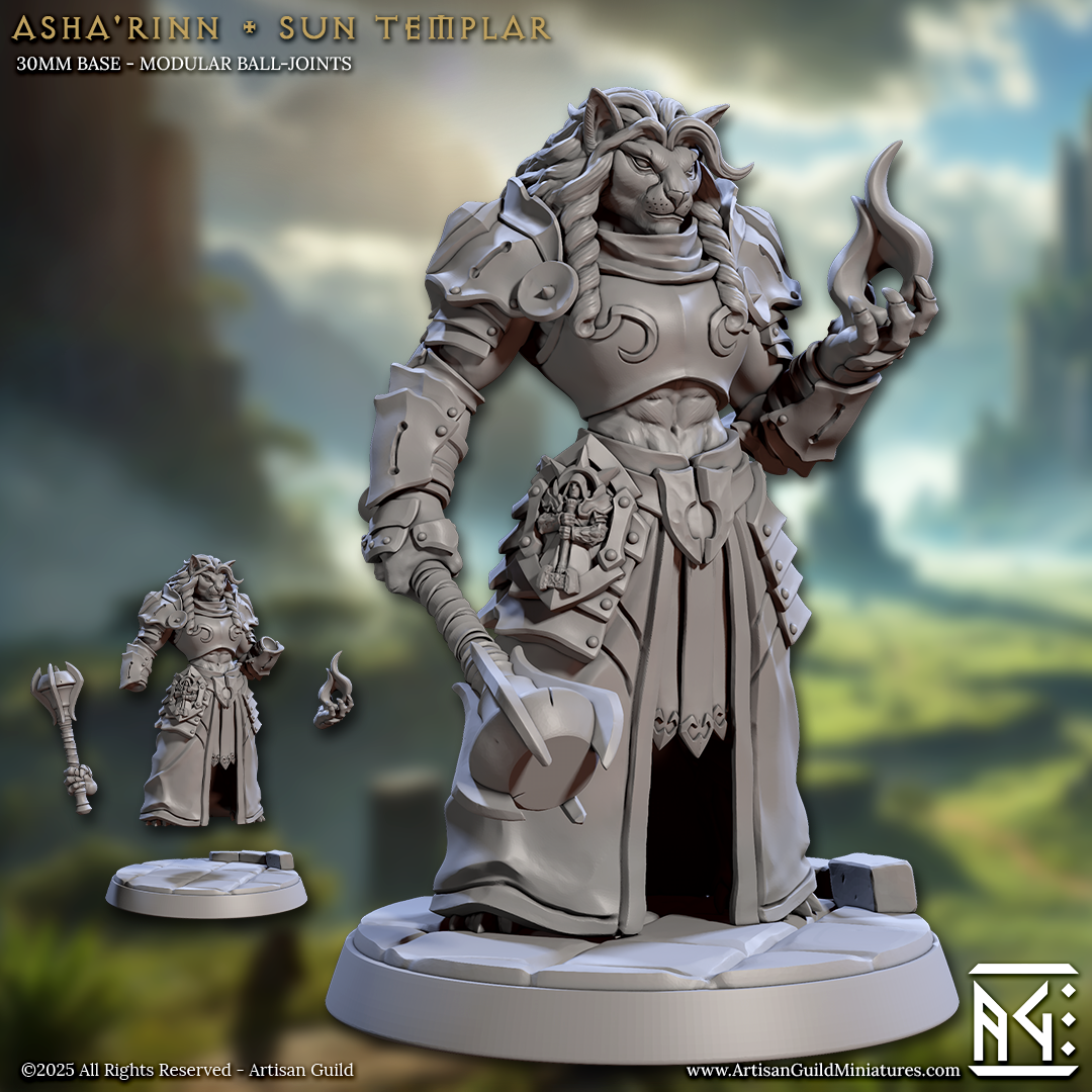 Asha'Rinn Sun Templar