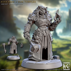Asha'Rinn Sun Templar