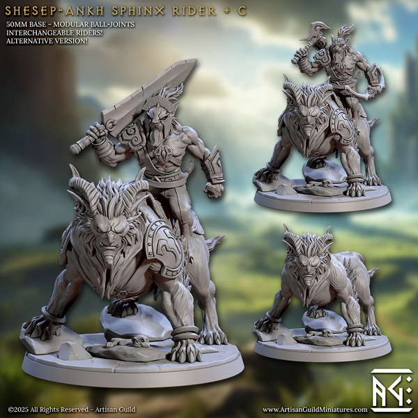 Solarmane Rakshakin Rider