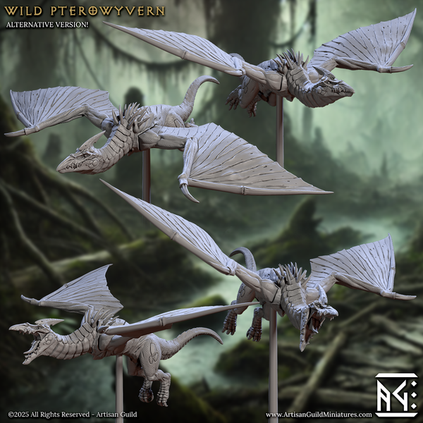 Pterowyvern Rider