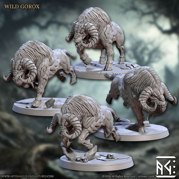 Gorox Riders