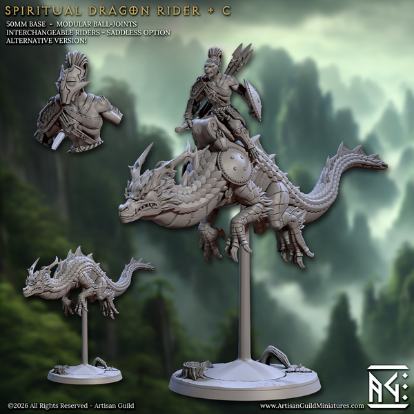 Spiritual Dragon Rider