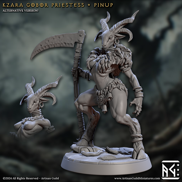 Kzara Gobor Priestess 3D-printed model