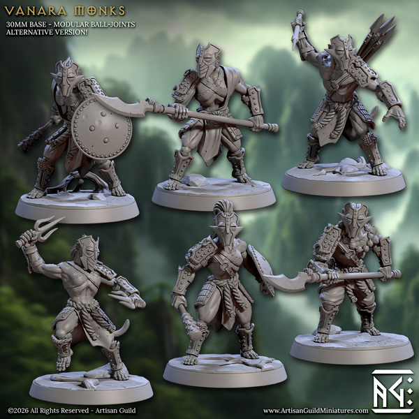 Vanara Monk