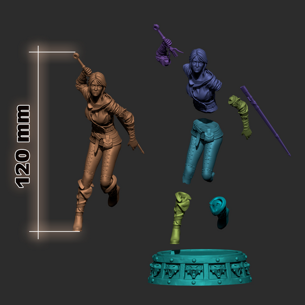 Ciri 3D-printed model