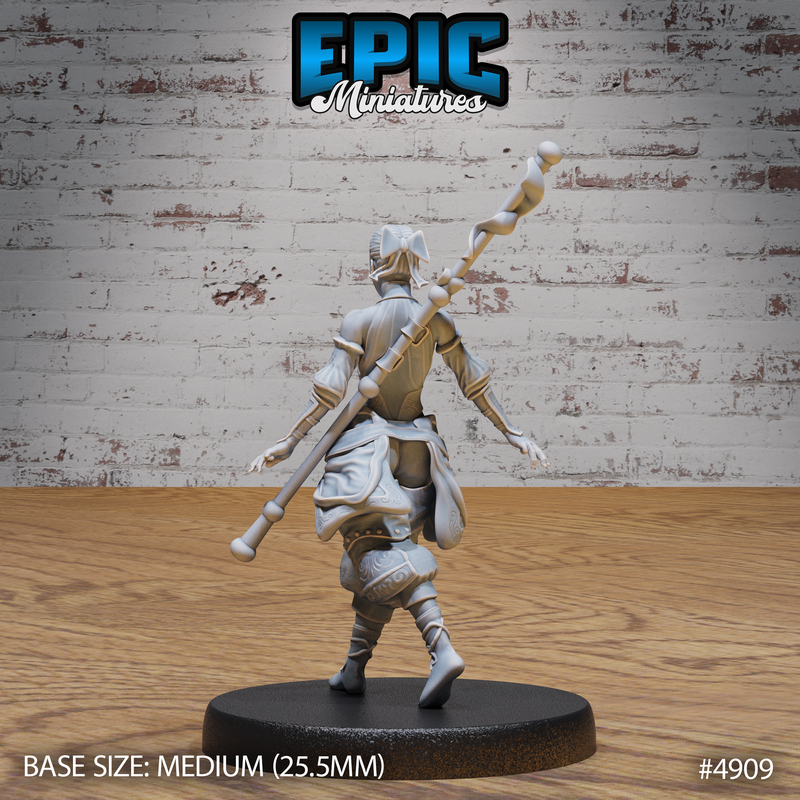 Monk Adventurer 3D-printed model