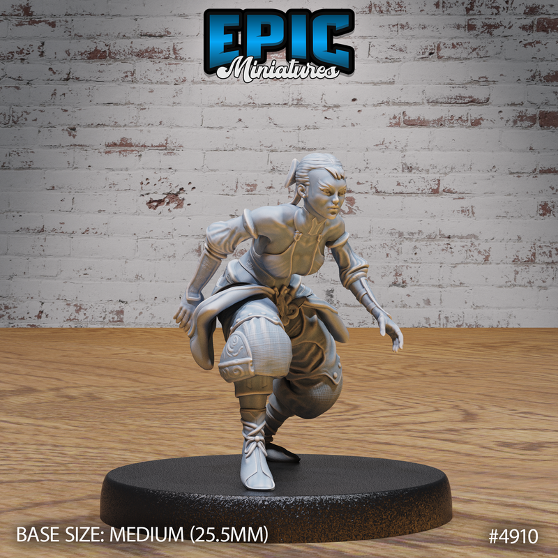 Monk Adventurer 3D-printed model