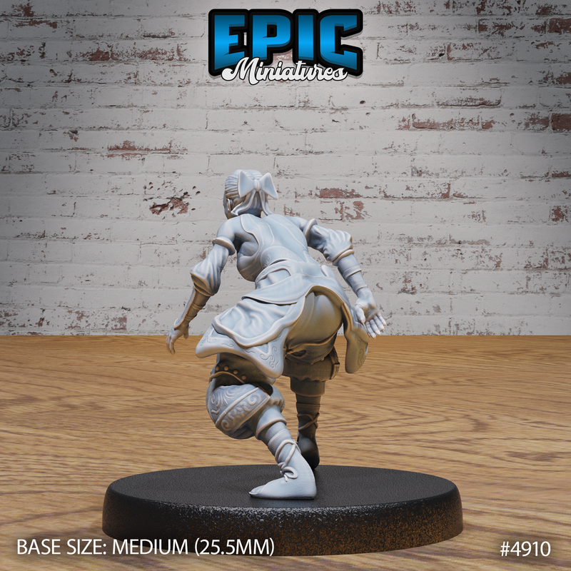 Monk Adventurer 3D-printed model